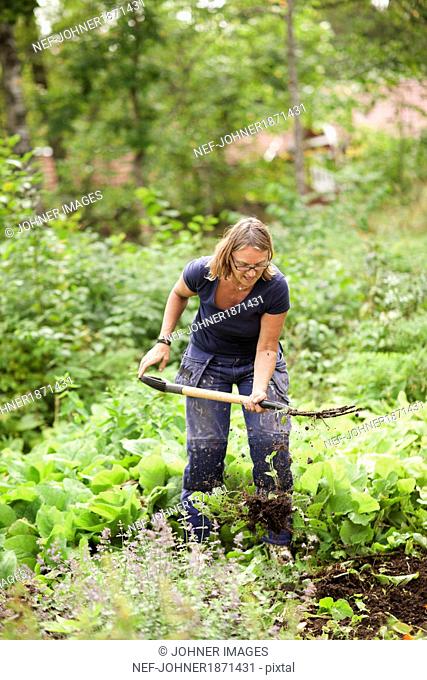Mature woman digging in garden
