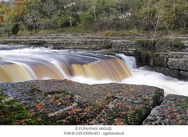 View of river flowing over limestone rocks, Aysgarth Falls, River Ure, Aysgarth, Wensleydale, Yorkshire Dales N P , North Yorkshire, England, October