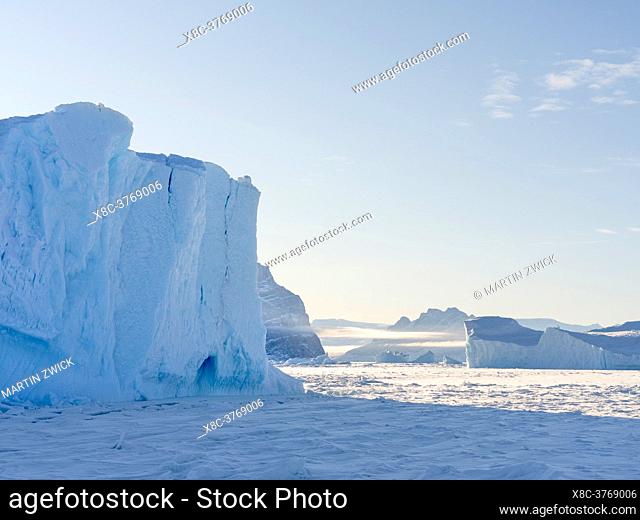 Icebergs frozen into the sea ice of the Uummannaq fjord system during winter in the the north west of Greenland, Uummanaq Island in the background