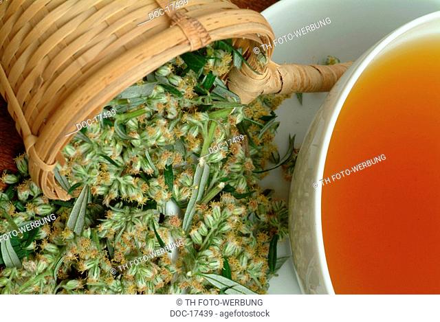 tea made of Mugwort - Wegwood - medicinal tea - herbtea - Artemisia vulgaris - Amarella - te