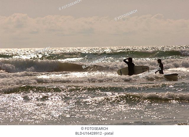 Surfers in Ocean