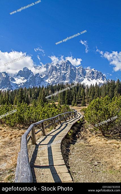 Hochmoor vor dem Bergstock der Sextner Rotwand in den Dolomiten