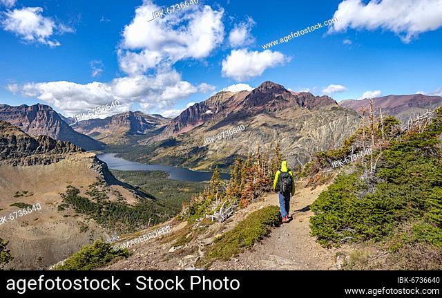Hikers on the trail to Scenic Point, view of Two Medicine Lake, mountain peaks Rising Wolf Mountain and Sinopah Mountain, Glacier National Park, Montana, USA