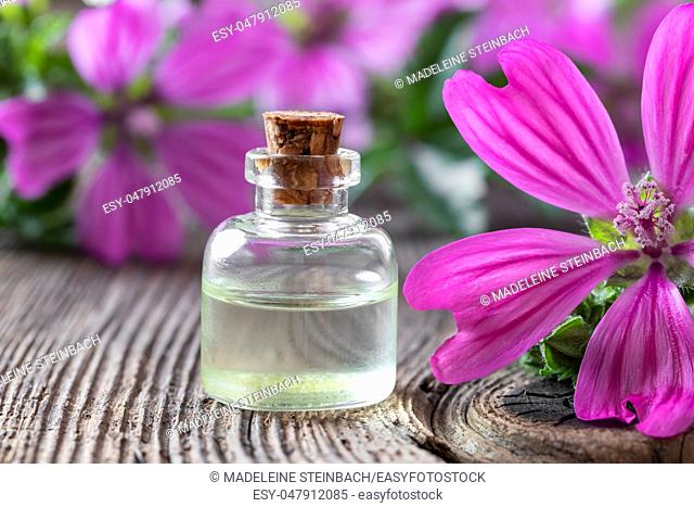A bottle of mallow essential oil with fresh malva sylvestris flowers
