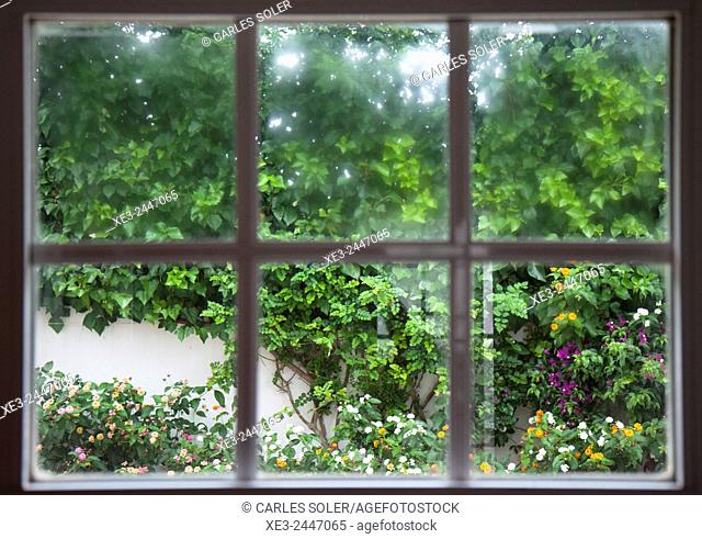 View of garden through window