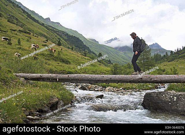 femme traversant le torrent en marchant sur des troncs couches, Vallee du Riva (Val di Riva en italien, Reintal en allemand), adjacente de la Vallee d'Aurina