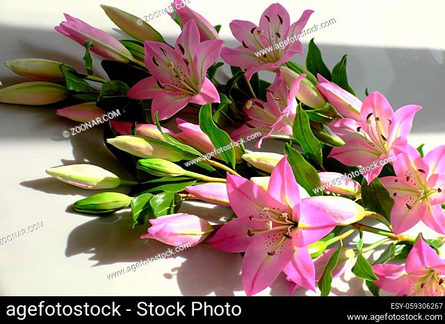 Beautiful artificial flower from clay art, bunch of purple lily flower on white background, bud and flowers bloom vibrant