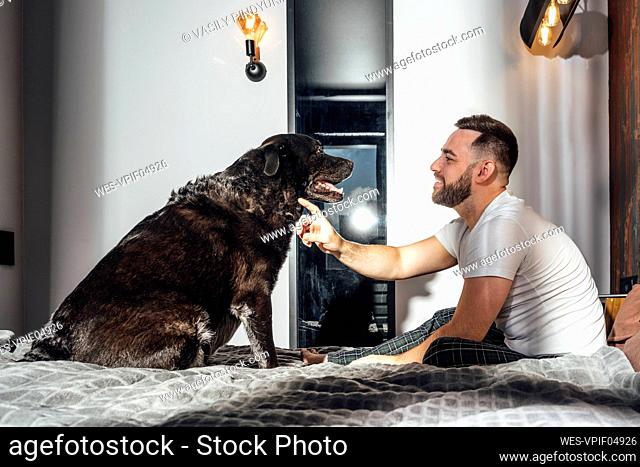 Smiling mid adult man stroking dog in bedroom