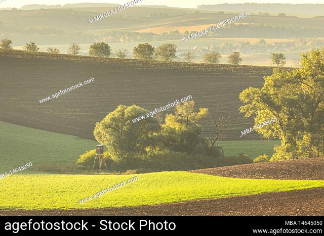 Europe, Czech, South Moravian Region, Hodonin District, Scenic view of rolling fields near Kyjov