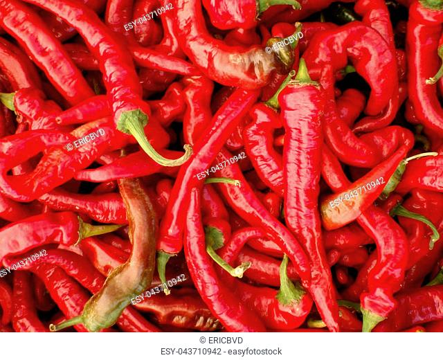 Long Hot Red Peppers for sale at Farmers Market in San Francisco