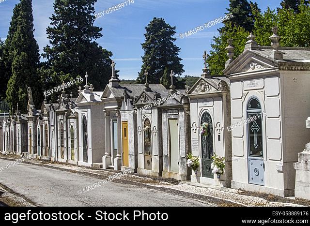 Close up view of a section from the famous portuguese cemetery Prazeres in Lisbon, Portugal