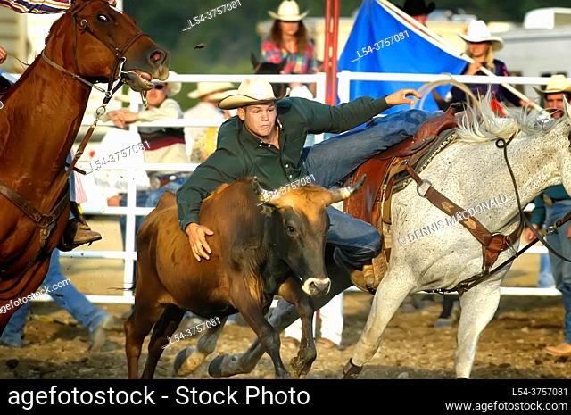 Cowboys compete in Rodeo action