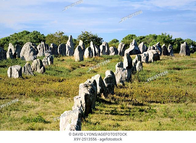 Carnac, Brittany, France. The Kermario group of prehistoric stone row alignments looking southwest toward the tallest
