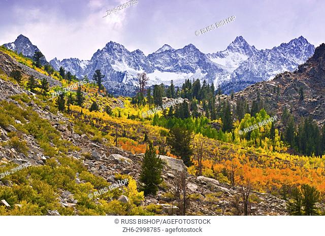 Fall color along Bishop Creek under Sierra peaks, Inyo National Forest, Sierra Nevada Mountains, California USA