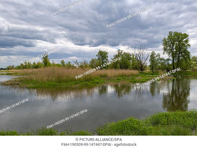 06 May 2019, Brandenburg, Aurith: Clouds are moving over the German-Polish border river Oder in the Ziltendorfer lowlands