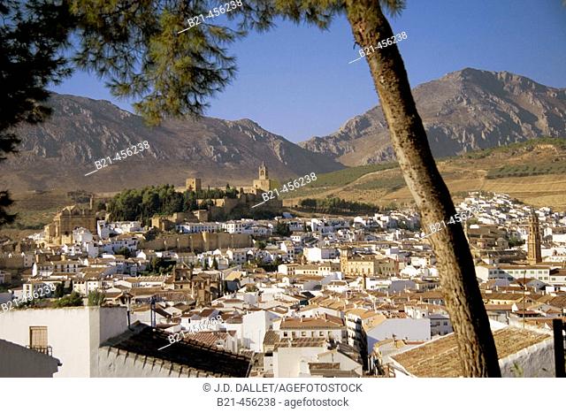 Antequera. Málaga province. Andalucia. Spain