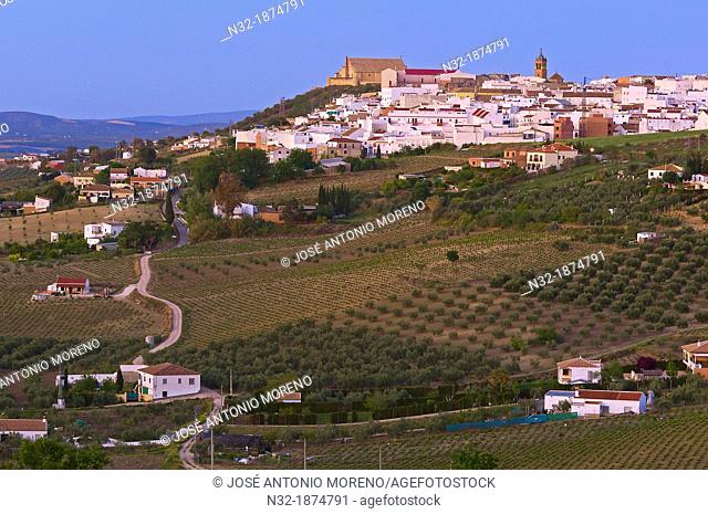 Montilla, Cordoba province, Montilla-Moriles area, , Andalusia, Spain