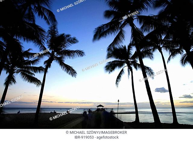 Beach, pier and palm trees in Waikiki at dusk, O'ahu Island, Hawaii, USA