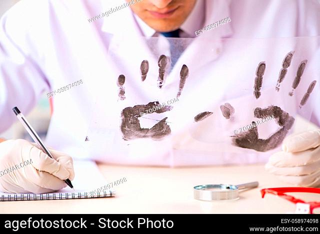 Forensic expert studying fingerprints in the lab