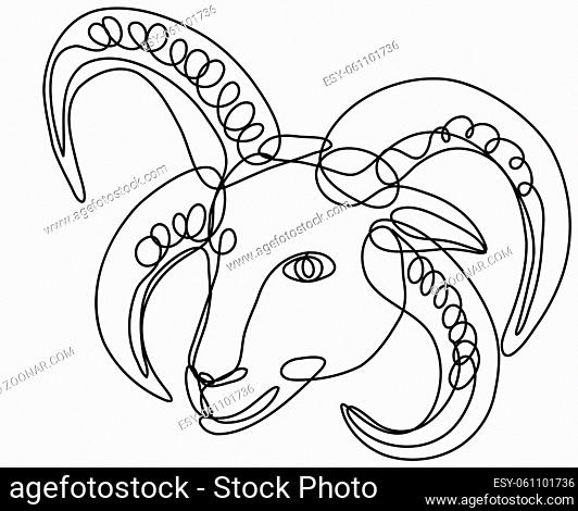 Continuous line drawing illustration of a head of Manx Loaghtan sheep done in mono line or doodle style in black and white on isolated background