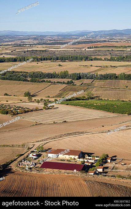 small farm in the Henares valley, Jadraque, Guadalajara province, Spain