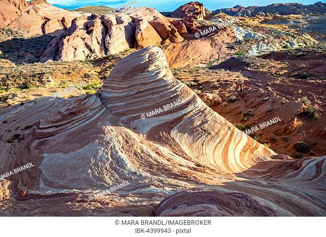 Fire Wave Rock in the evening light, with Sleeping Lizard Rock, Valley of Fire State Park, Nevada, USA