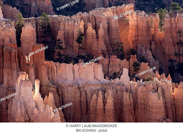 View of Bryce Amphitheater from Inspiration Point, coloured rock formations, fairy chimneys, morning light, Bryce Canyon National Park, Utah, USA