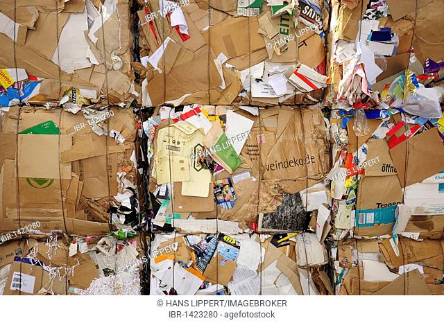 Pressed cardboard, recycling, buyback centre