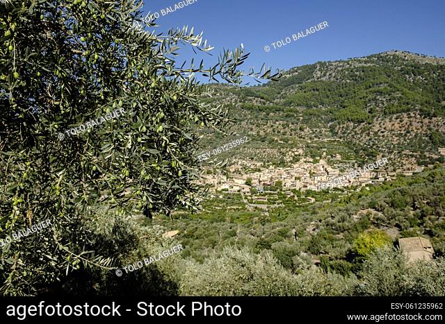 Fornalutx, valle de Soller, Mallorca, balearic islands, Spain