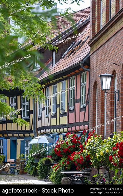 23 June 2021, Mecklenburg-Western Pomerania, Stralsund: Roses bloom in front of a residential building at the Johanniskloster