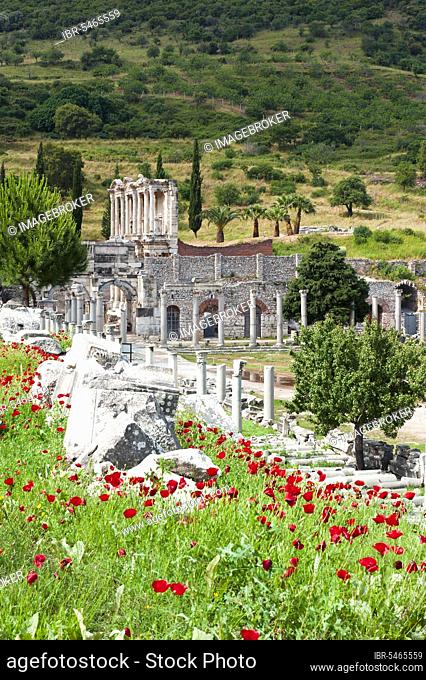 Library of Celsus, Ephesus, Izmir Province, Turkey, Ephesus, Asia