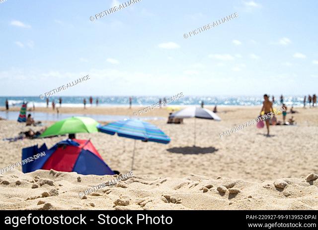 PRODUCTION - 14 August 2022, Portugal, Pataias: Visitors sit under umbrellas on the beach ""Praia de Vale Furado"" and splash in the water