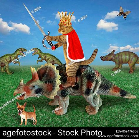 The beige cat king in a red cloak, a gold crown and boots with a sword with a ruby is riding a war triceratops in the field where other dinosaurs are grazing