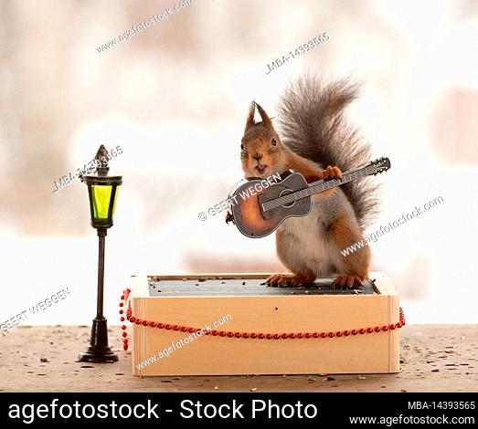 red squirrel is holding an guitar standing on podium