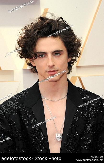 Timothée Chalamet at the 94th Annual Academy Awards held at the Dolby Theatre in Los Angeles, USA on March 27, 2022