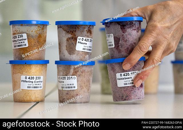 26 July 2022, Baden-Wuerttemberg, Stuttgart: An employee of the Chemical and Veterinary Investigation Office in Stuttgart sorts frozen and chopped fruit and...