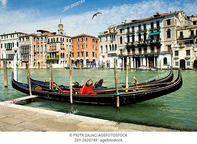 Moored gondolas on Canal Grande in Venice, Italy