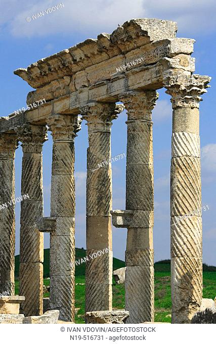 Roman city Apamea (modern Afamia), Syria