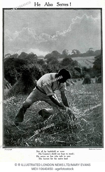 He Also Serves. A man harvesting in a field at the start of the First World War. The verse below says: He serves no less who toils to save / The harvest for his...