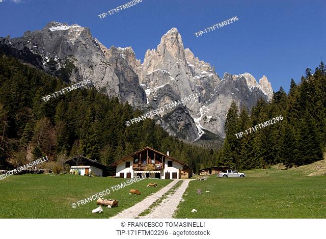 Italy, Trentino Alto Adige, Val Canali, path towards Sass Maor mount