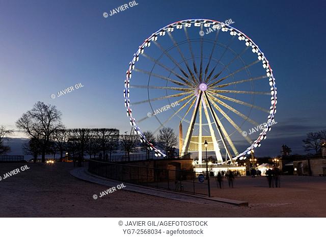 Grand wheel from the garden of Tuilleries, Paris, Ile-de-france, France