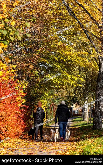 Stockholm, Sweden Dog walkers on a path with fall colors in the upscale Malarhojden district on a sunny day