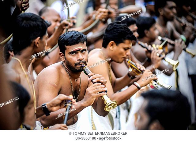 Musicians with trumpets at Hindu temple festival, Thrissur, Kerala, South India, India