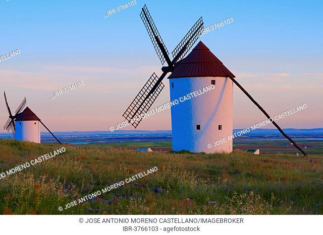 Windmills, Route of Don Quixote, Mota del Cuervo, Castile-La Mancha, Spain