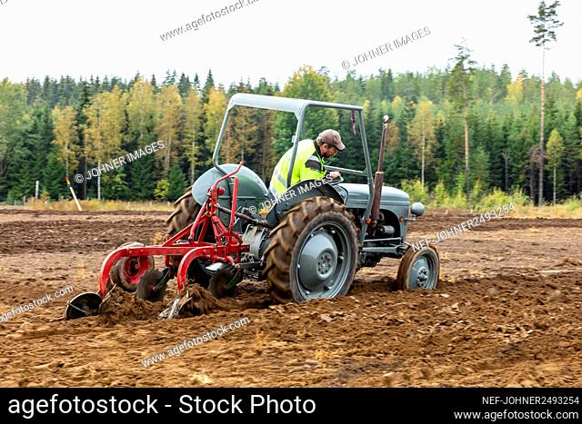 Man plowing field
