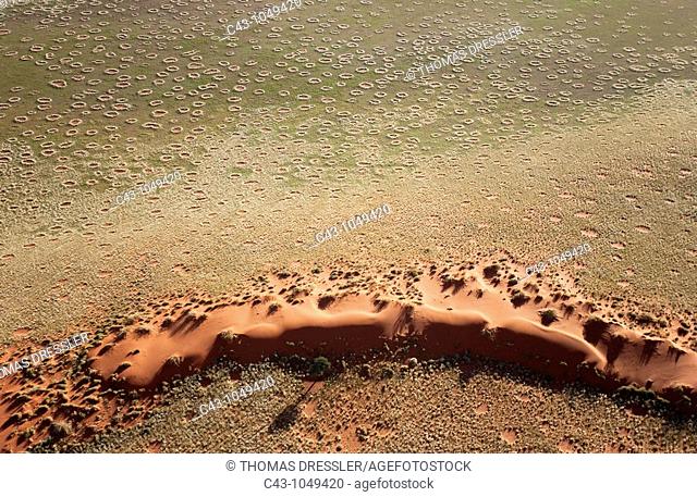 Namibia - The 'green' desert during the rainy season  The so-called 'Fairy Circles' are circular patches without any vegetation which according to recent...