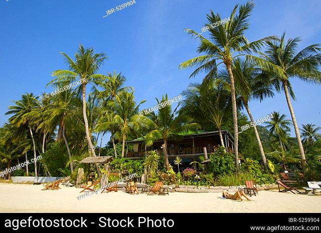 Lamai Beach, Ko Samui Island, Thailand, Southern Thailand, Palm Beach, Palm Trees, Asia