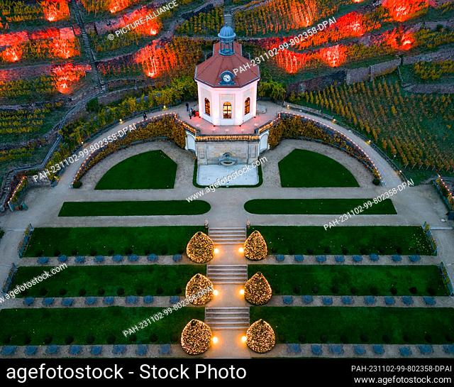02 November 2023, Saxony, Radebeul: The grounds of the Saxon State Winery with the Belvedere are illuminated during a lighting rehearsal before the start of...