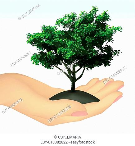 Human hand with tree. Vector