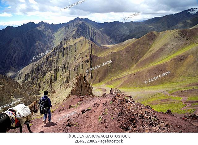 India, Jammu and Kashmir State, Himalaya, Ladakh, Hemis National Park, man and his horse crossing the Stok La pass (4850m)